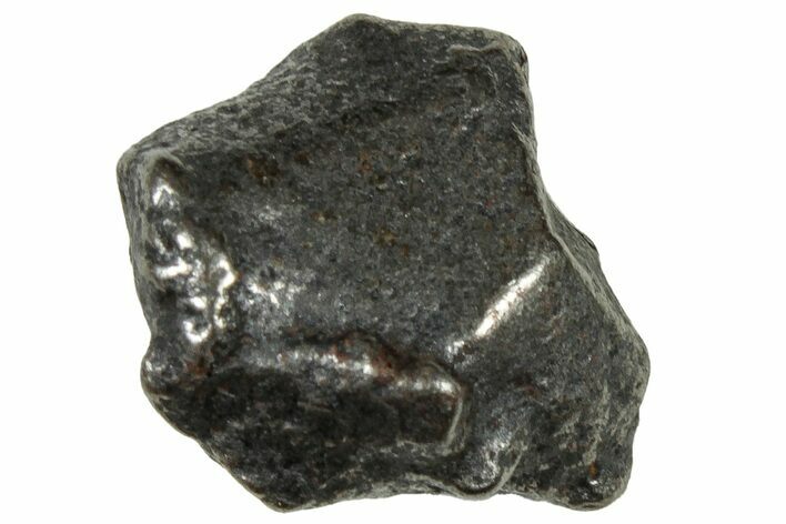 Gebel Kamil Iron Meteorite ( g) - Egypt #302706